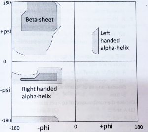 Restrictions in the Ramachandran Plot