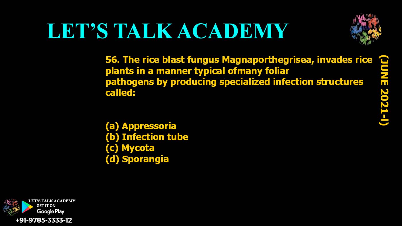 The rice blast fungus Magnaporthegrisea, invades rice plants in a manner typical ofmany foliar pathogens by producing specialized infection structures called: (a) Appressoria (b) Infection tube (c) Mycota (d) Sporangia