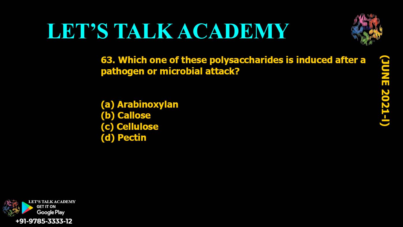 Which one of these polysaccharides is induced after a pathogen or microbial attack? (a) Arabinoxylan (b) Callose (c) Cellulose (d) Pectin