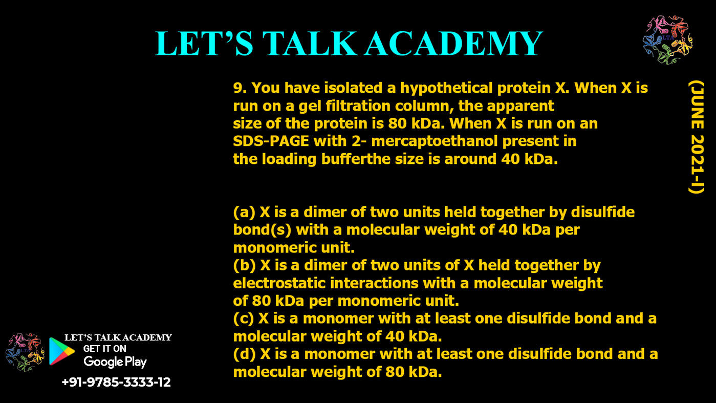 Behavior of Protein X in Gel Filtration and SDS-PAGE