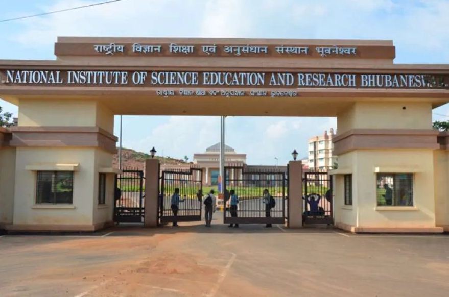 Summer Internship at School of Biological Sciences (SBS)