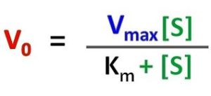 michaelis menten equation