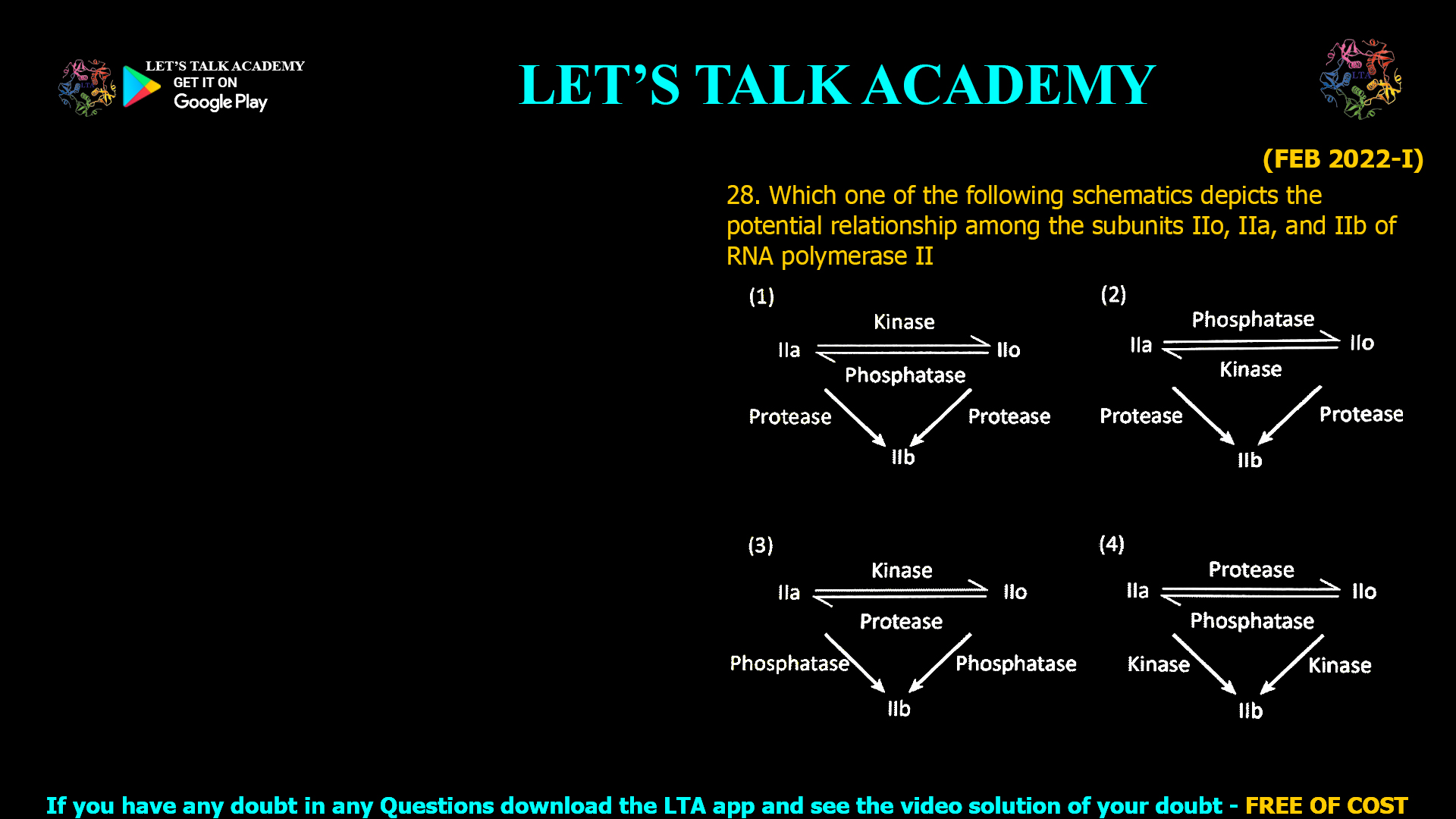 Which one of the following schematics depicts the potential relationship among the subunits IIo, IIa, and IIb of RNA polymerase II