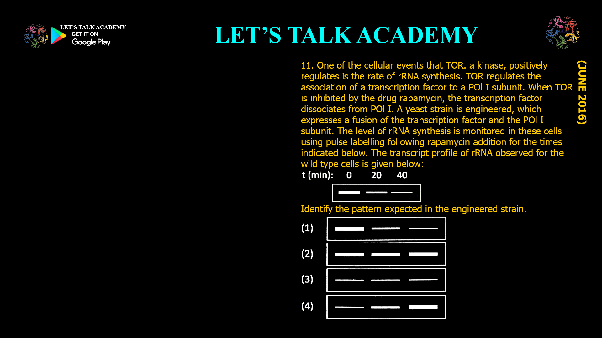 11. one of the cellular events that TOR. a kinase, positively regulates is the rate of rRNA synthesis. TOR regulates the association of a transcription factor to a POI I subunit. When TOR is inhibited by the drug rapamycin, the transcription factor dissociates from POI I. A yeast strain is engineered, which expresses a fusion of the transcription factor and the POI I subunit. The level of rRNA synthesis is monitored in these cells using pulse labelling following rapamycin addition for the times indicated below. The transcript profile of rRNAobserved for the wild type cells is given below: Identify the pattern expected in the engineered strain.