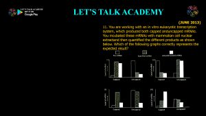 Capped vs. Uncapped mRNAs in Nuclear Extracts