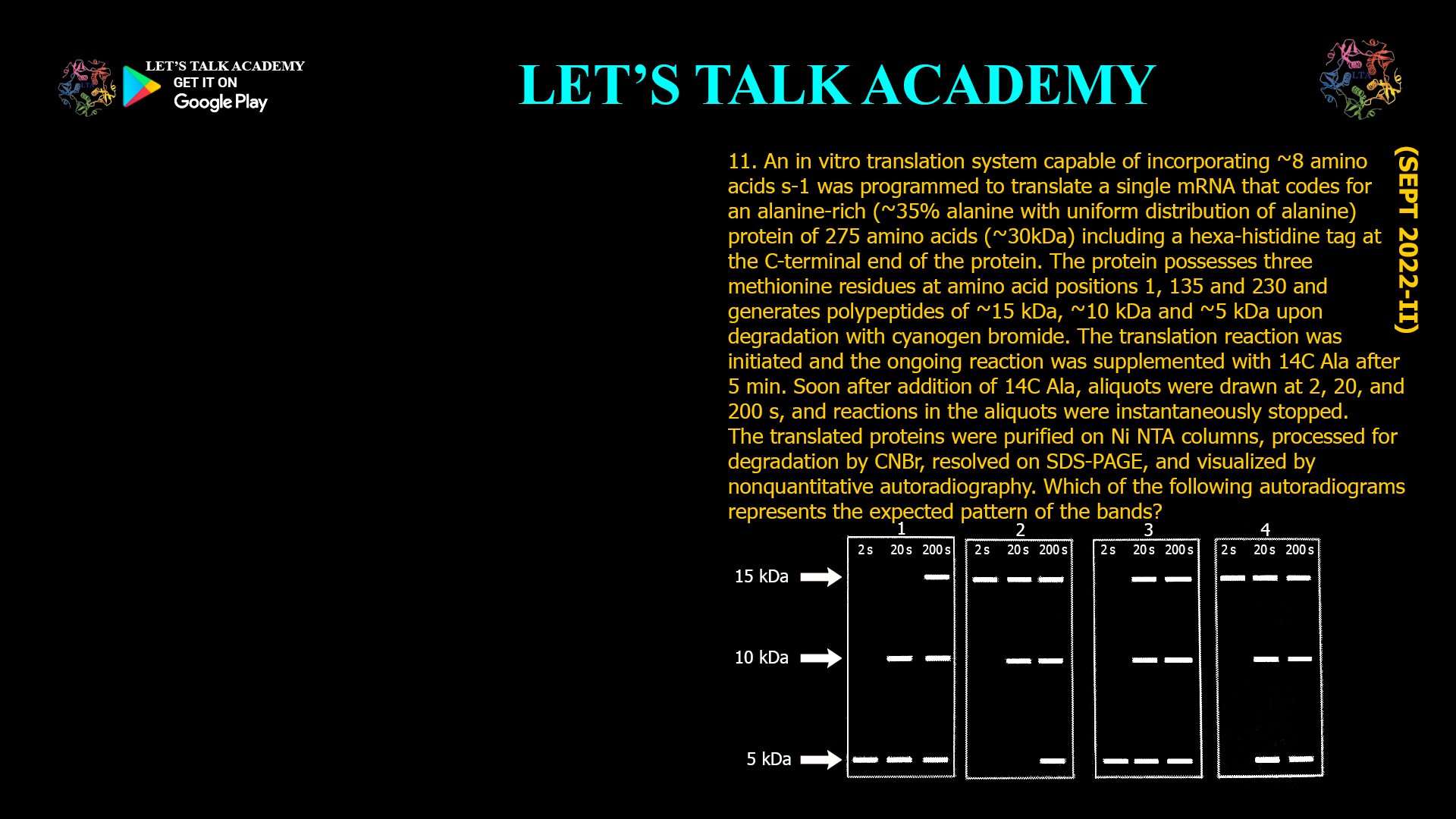 11. An in vitro translation system capable of incorporating ~8 amino acids s-1 was programmed to translate a single mRNA that codes for an alanine-rich (35% alanine with uniform distribution of alanine) protein of 275 amino acids (~30kDa) including a hexa-histidine tag at the c-terminal end of the protein. The protein possesses three methionine residues at amino acid positions 1, 135 and 230 and generates polypeptides of ~15 kDa, ~10 kDa and ~5 kDa upon degradation with cyanogen bromide. The translation reaction was initiated and the ongoing reaction was supplemented with 14C Ala after 5 min. Soon after addition of 14C Ala, aliquots were drawn at 2, 20, and 200 s, and reactions in the aliquots were instantaneously stopped. The translated proteins were purified on Ni NTA columns, processed for degradation by CNBr, resolved on SDS-PAGE, and visualized by nonquantitative autoradiography. Which Of the following autoradiograms represents the expected pattern of the bands?