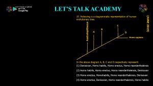 CSIR NET Life Science Previous Year Questions and Solution on Paleontology and Evolutionary History