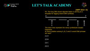 CSIR NET Life Science Previous Year Questions and Solution on DNA REPLICATION