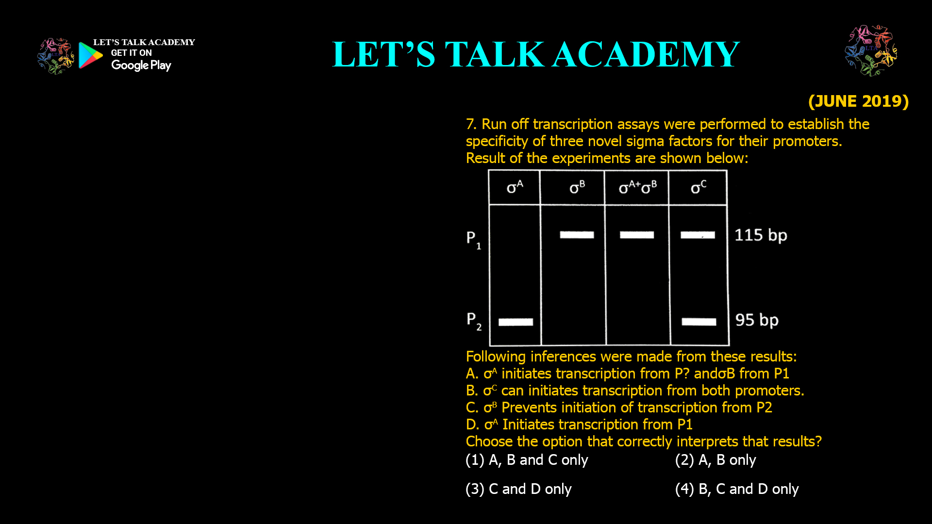 (JUNE 2019) 7. Run off transcription assays were performed to establish the specificity of three novel sigma factors for their promoters. Result of the experiments are shown below: Following inferences were made from these results: A. σA initiates transcription from P? and σB from P1 B. σC can initiates transcription from both promoters. C. σB Prevents initiation of transcription from P2 D. σA Initiates transcription from P1 Choose the option that correctly interprets that results? (1) A, B and C only (2) A, B only (3) C and D only (4) B, C and D only