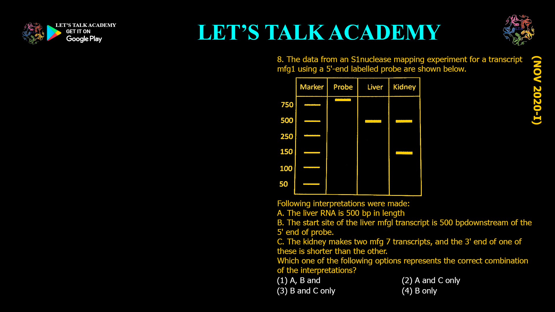 8. The data from an S1 nuclease mapping experiment for a transcript mfg1 using a 5'-end labelled probe are shown below. Following interpretations were made: A. The liver RNA is 500 bp in length B. The start site of the liver mfgl transcript is 500 bp downstream of the 5' end of probe. C. The kidney makes two mfg 7 transcripts, and the 3' end of one of these is shorter than the other. Which one of the following options represents the correct combination of the interpretations? (1) A, B and (2) A and C only (3) B and C only (4) B only