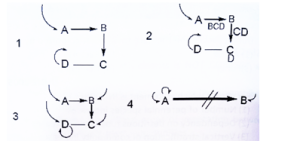 17. Which of the following species replacement sequence depicts tolerance model of community succession?