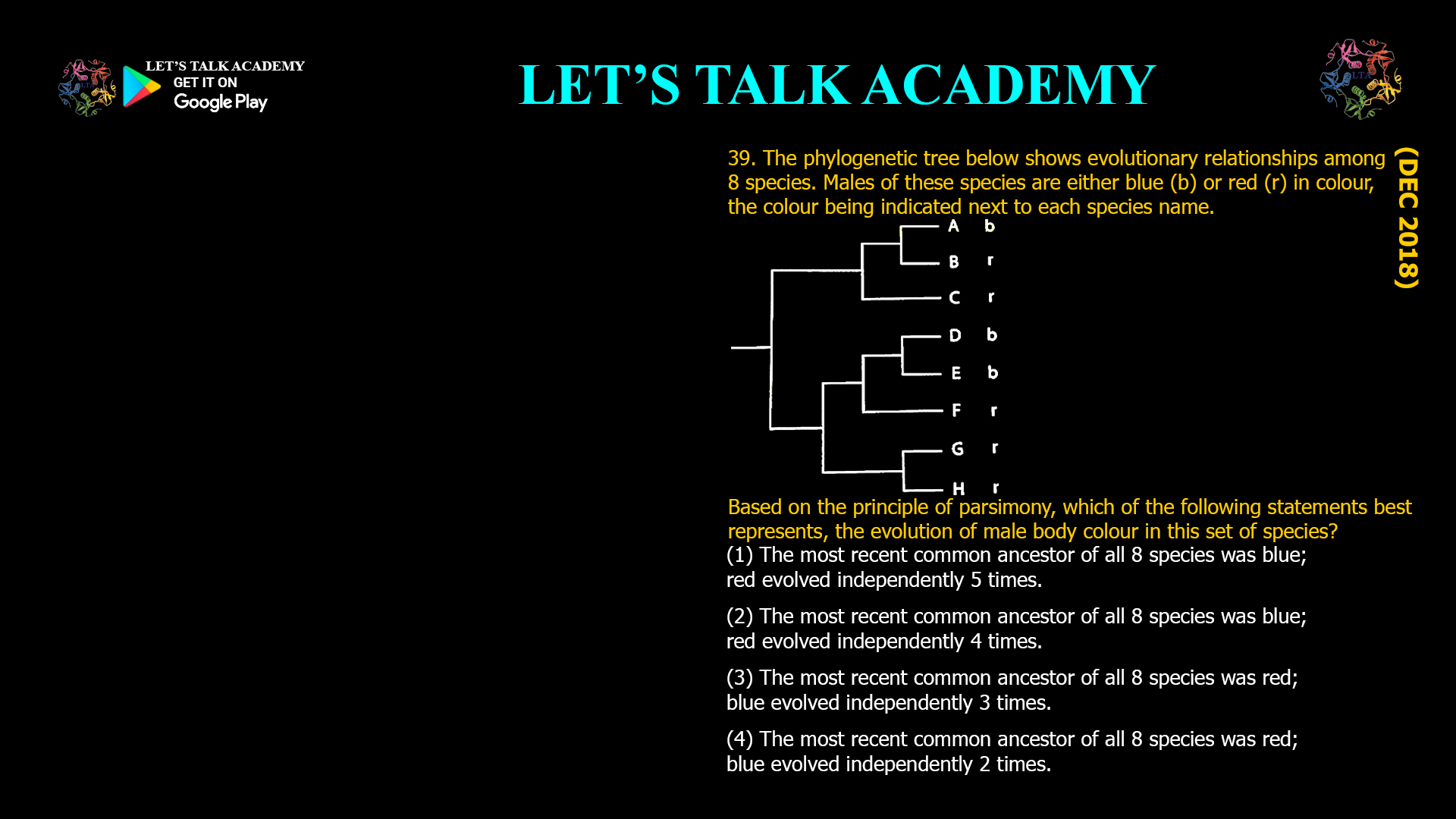 The phylogenetic tree below shows evolutionary relationships among 8 species. Males of these species are either blue (b) or red (r) in colour, the colour being indicated next to each species name. Based on the principle of parsimony, which of the following statements best represents, the evolution of male body colour in this set of species? (1) The most recent common ancestor of all 8 species was blue; red evolved independently 5 times. (2) The most recent common ancestor of all 8 species was blue; red evolved independently 4 times. (3) The most recent common ancestor of all 8 species was red; blue evolved independently 3 times. (4) The most recent common ancestor of all 8 species was red; blue evolved independently 2 times.