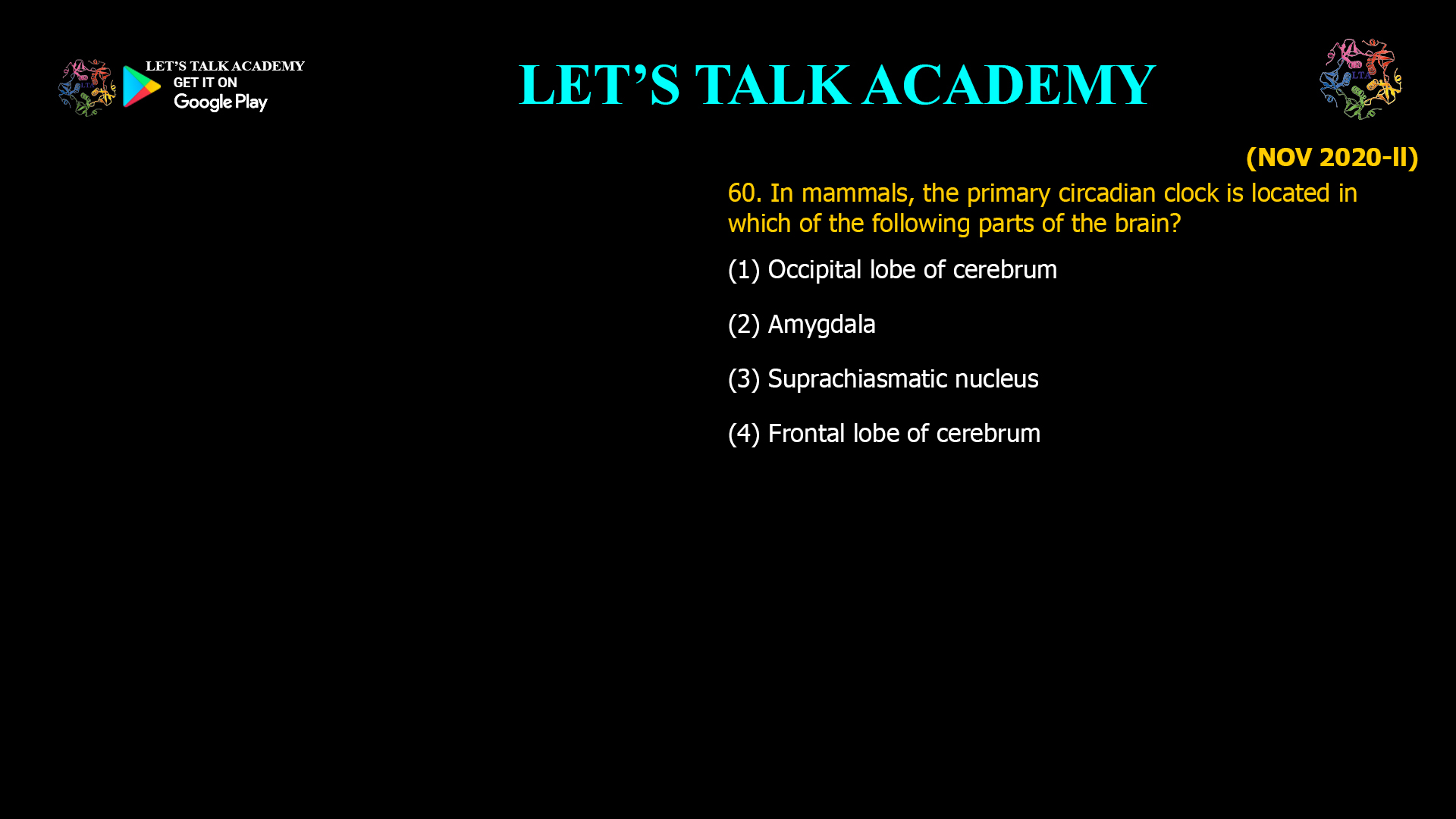In mammals, the primary circadian clock is located in which of the following parts of the brain? (1) Occipital lobe of cerebrum (2) Amygdala (3) Suprachiasmatic nucleus (4) Frontal lobe of cerebrum