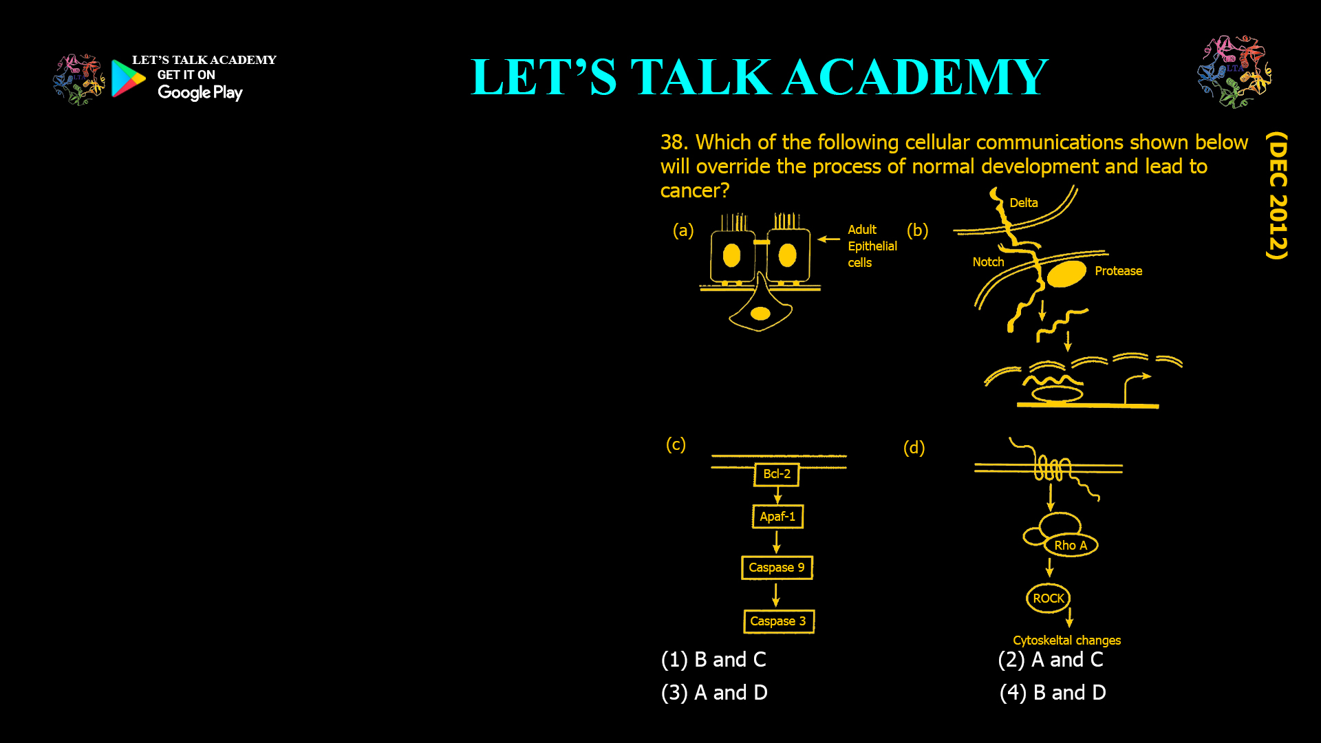 Which of the following cellular communications shown below will override the process of normal development and lead to cancer? (1) B and C                                                   (2) A and C (3) A and D                                                   (4) B and D