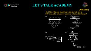 Cell-Cell Communication