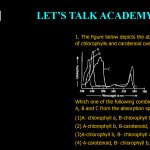 The figure below depicts the absorption spectra of chlorophylls and carotenoid over a range of Which one of the following combinations best describes A, B and C from the absorption spectra shown above? (1) A- chlorophyll a, B-chlorophyll b , C- carotenoid (2) A-chlorophyll b, B-carotenoid, C-chlorophyll a (3) A-chlorophyll b, B- chlorophyll a, C-carotenoid (4) A-carotenoid, B- chlorophyll b, C- chlorophyll a