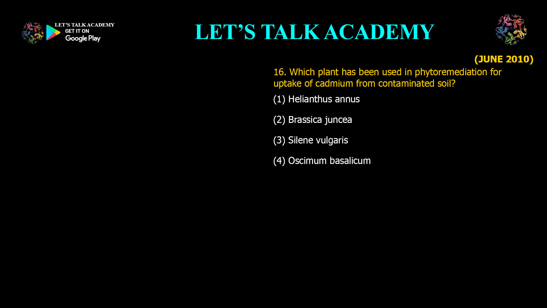16. Which plant has been used in phytoremediation for uptake of cadmium from contaminated soil? (1) Helianthus annus (2) Brassica juncea (3) Silene vulgaris (4) Oscimum basalicum