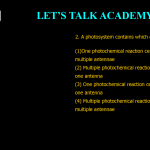 2. A photosystem contains which of the following? (1) One photochemical reaction centre and multiple antennae (2) Multiple photochemical reaction centres and one antenna (3) One photochemical reaction centre and one antenna (4) Multiple photochemical reaction centres and multiple antennae