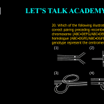 20. Which of the following illustrations explain the correct pairing preceding recombination between a chromosome (ABC•DEFG/ABC•DEFG) and its inverted homologue (ABC•DGFE/ABC•DGFE). The dot in genotype represent the centromere.