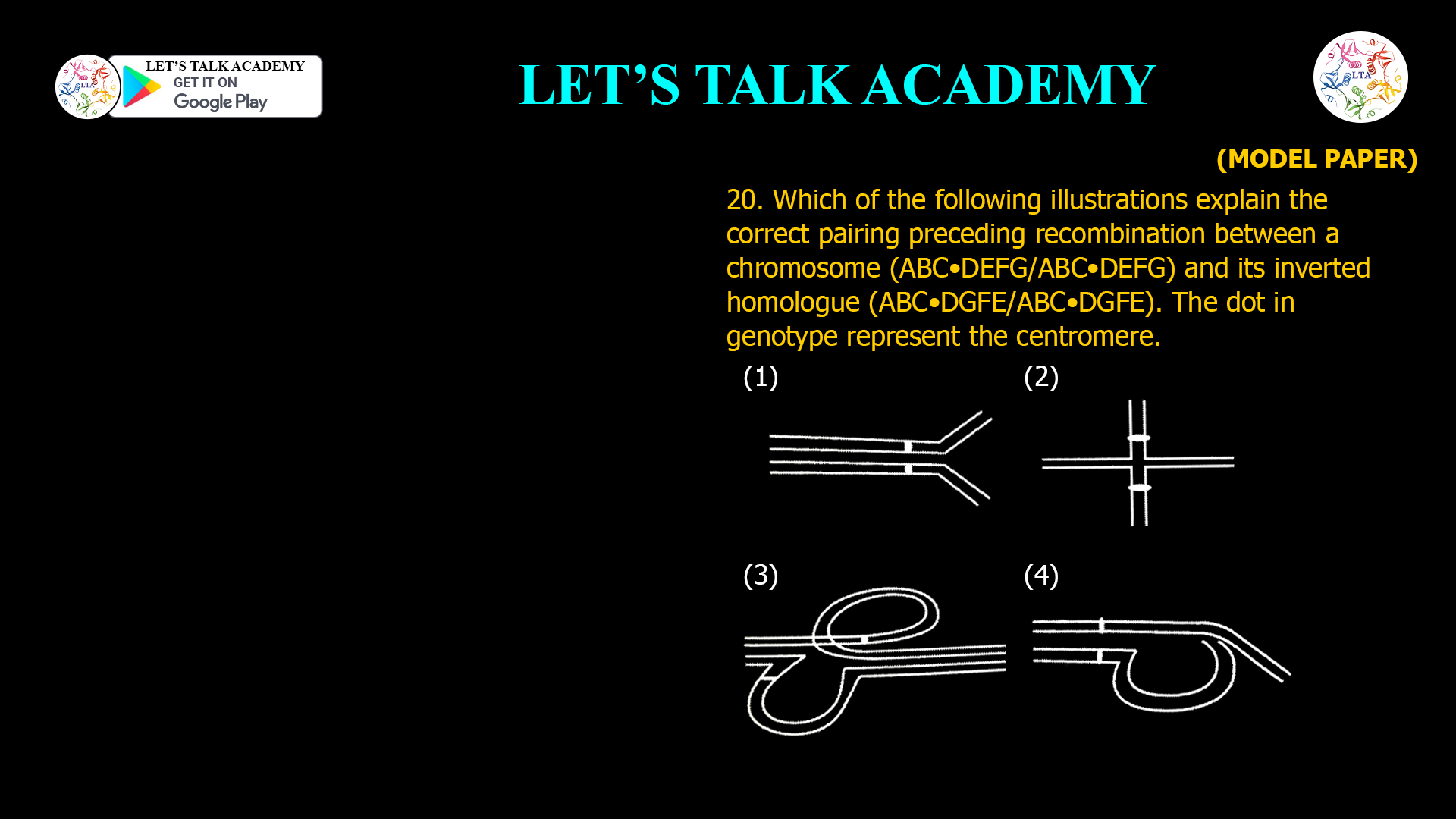 20. Which of the following illustrations explain the correct pairing preceding recombination between a chromosome (ABC•DEFG/ABC•DEFG) and its inverted homologue (ABC•DGFE/ABC•DGFE). The dot in genotype represent the centromere.