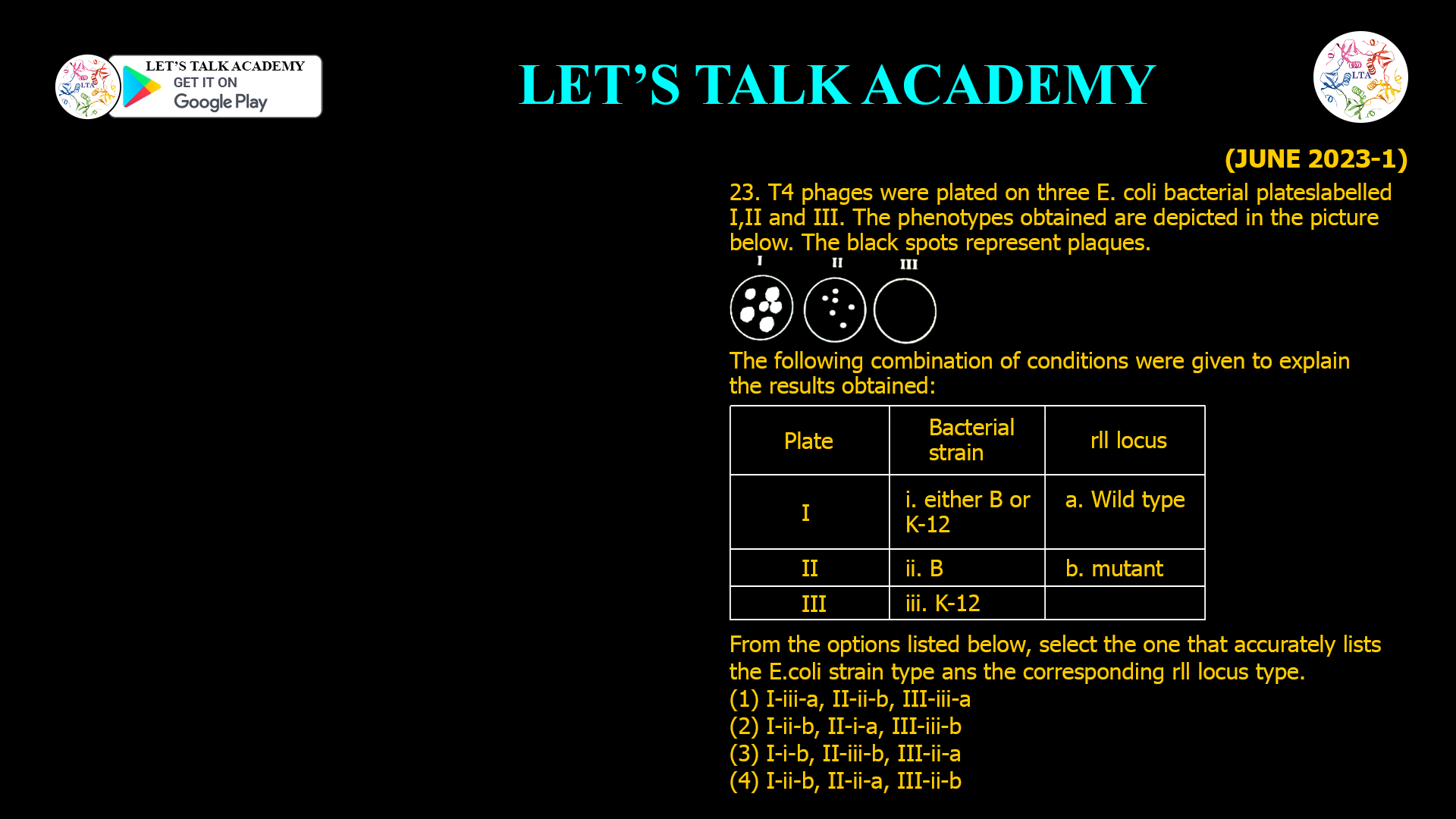 23. T4 phages were plated on three E. coli bacterial plateslabelled I,II and III. The phenotypes obtained aredepicted in the picture below. The black spotsrepresent plaques. The following combination of conditions were given to explain the results obtained: Plate Bacterial strain rll locus I i. either B or K-12 a. Wild type II ii. B b. mutant III iii. K-12 From the options listed below, select the one that accurately lists the E.coli strain type ans the corresponding rll locus type. (1) I-iii-a, II-ii-b, III-iii-a (2) I-ii-b, II-i-a, III-iii-b (3) I-i-b, II-iii-b, III-ii-a (4) I-ii-b, II-ii-a, III-ii-b