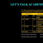 25. Match the following Vir proteins with their correct function during Agrobacterium mediated transfer of T- DNA to plant cells. (1) A-(i), B-(ii), C-(iii), D-(iv) (2) A-(iv). B-(i). C-(ii), D-(iii) (3) A-(i), B-(iii), C-(iv), D-(ii) (4) A-(iii); B-(ii), C-(i), D-(iv)