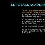 28. Which of the following statement is NOT true during infection of plant cell by Agrobacterium? (1) The protein products of virulence genes Vir A and VirG perceives acetosyringone (2) The VirB protein forms a connection between Agrobacterium and the plant cell and facilitates T- DNA transfer into the plant (3) The T-DNA is excised and bound to VirD2 protein (4) The T-DNA, after becoming coated with VirF binds to phosphorylated VIP1, which allows the complex to enter the plant's nucleus