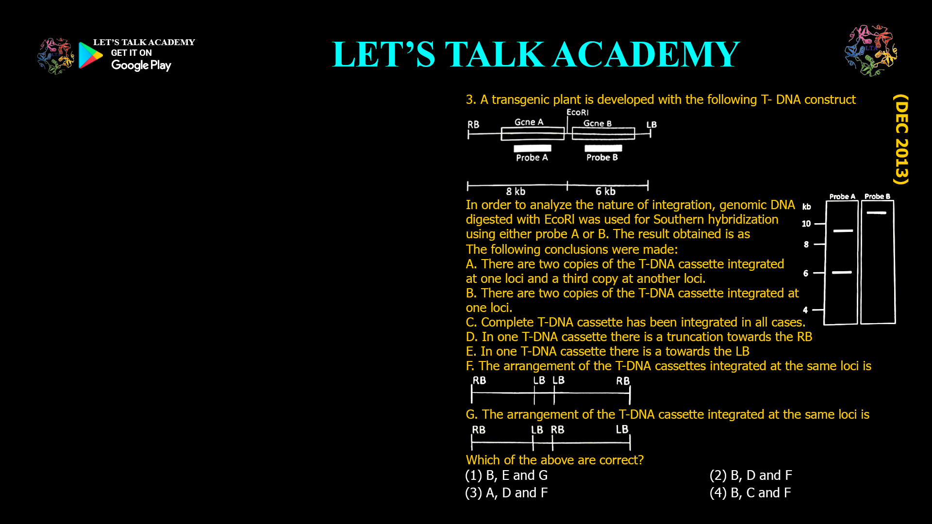 3. A transgenic plant is developed with the following T- DNA construct In order to analyze the nature of integration, genomic DNA digested with EcoRl was used for Southern hybridization using either probe A or B. The result obtained is as The following conclusions were made: A. There are two copies of the T-DNA cassette integrated at one loci and a third copy at another loci. B. There are two copies of the T-DNA cassette integrated at one loci. C. Complete T-DNA cassette has been integrated in all cases. D. In one T-DNA cassette there is a truncation towards the RB E. In one T-DNA cassette there is a towards the LB F. The arrangement of the T-DNA cassettes integrated at the same loci is G. The arrangement of the T-DNA cassette integrated at the same loci is Which of the above are correct? (1) B, E and G (2) B, D and F (3) A, D and F (4) B, C and F