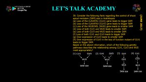 CSIR NET Life Science Previous Year Questions and Solution on Morphogenesis and Organogenesis in Plants