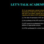 46. In an experiment, spinach chloroplast are illuminated in the absence of ADP and Pi, then the light is turned off and ADP and Pi are added. Identify the correct statement regarding the status of ATP synthesis (1) The rate of hydrolysis of ATP will be enhanced in dark (2) No synthesis of the ATP at all in the dark (3) ATP cannot be synthesized from ADP and Pi without the addition of appropriate enzyme (4) ATP is synthesized for a short time in the dark