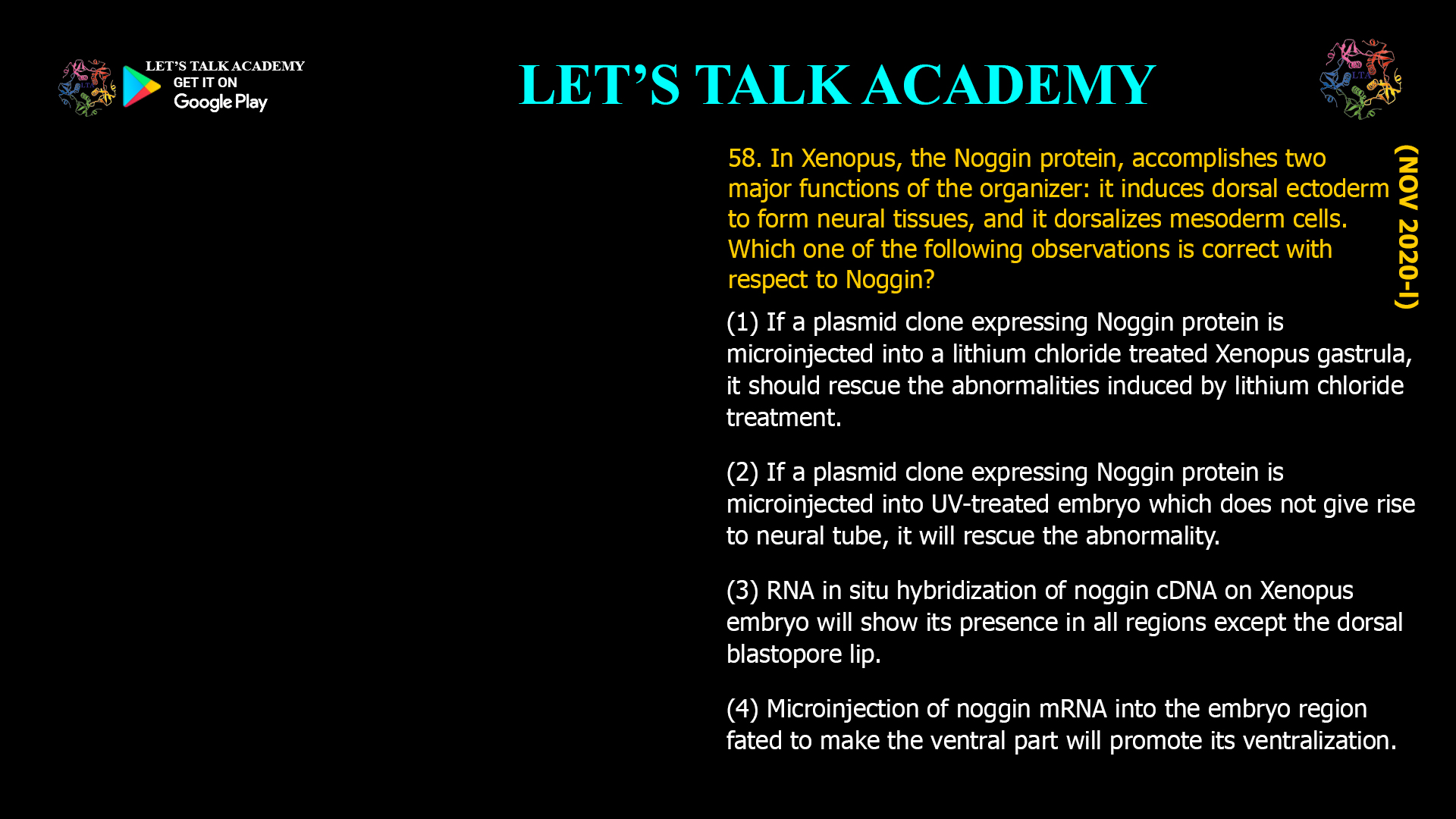 In Xenopus, the Noggin protein, accomplishes two major functions of the organizer: it induces dorsal ectoderm to form neural tissues, and it dorsalizes mesoderm cells. Which one of the following observations is correct with respect to Noggin? (1) If a plasmid clone expressing Noggin protein is microinjected into a lithium chloride treated Xenopus gastrula, it should rescue the abnormalities induced by lithium chloride treatment. (2) If a plasmid clone expressing Noggin protein is microinjected into UV-treated embryo which does not give rise to neural tube, it will rescue the abnormality. (3) RNA in situ hybridization of noggin cDNA on Xenopus embryo will show its presence in all regions except the dorsal blastopore lip. (4) Microinjection of noggin mRNA into the embryo region fated to make the ventral part will promote its ventralization. 