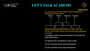 CSIR NET Life Science Previous Year Questions and Solution on Morphogenesis and Organogenesis in Plants
