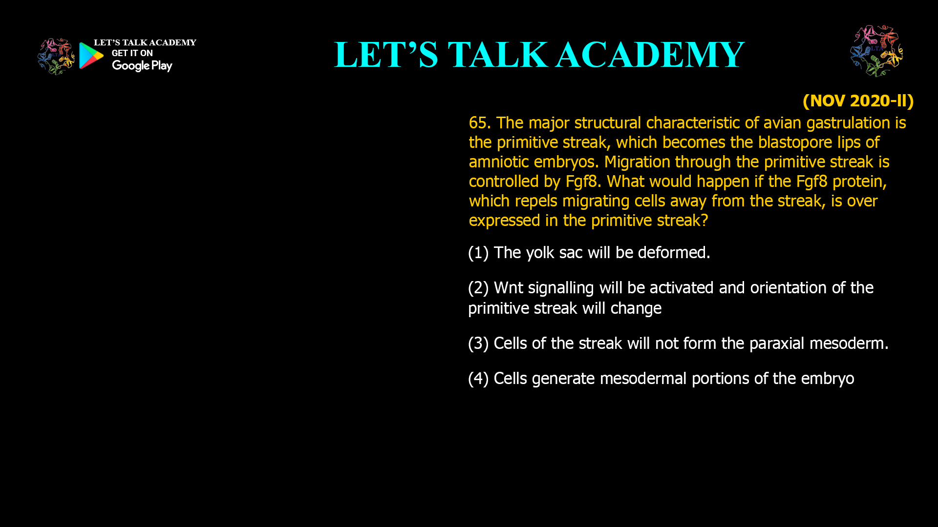 65. The major structural characteristic of avian gastrulation is the primitive streak, which becomes the blastopore lips of amniotic embryos. Migration through the primitive streak is controlled by Fgf8. What would happen if the Fgf8 protein, which repels migrating cells away from the streak, is over expressed in the primitive streak? (1) The yolk sac will be deformed. (2) Wnt signalling will be activated and orientation of the primitive streak will change (3) Cells of the streak will not form the paraxial mesoderm. (4) Cells generate mesodermal portions of the embryo