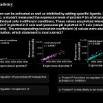 15. Protein P function can be activated as well as inhibited by adding specific ligands. In an experimental set up, a student measured the expression level of protein P (in arbitrary units) and lysosomal pH of individual cells in different conditions. These values are plotted where relative expression of protein P in plotted in X axis and lysosomal pH is plotted in Y axis (values from each cell is represented by dots). The corresponding correlation coefficient (r) values were also calculated. Based on this information, which statement is most correct? a) Protein P may function as a regulator of lysosomal pH irrespective of its expression a) Protein P may function as a regulator of lysosomal pH irrespective of its activation or inhibition c) Protein P may function as a regulator of lysosomal pH irrespective of its expression, activation or inhibition d) Protein P is less-likely to be involved in the regulation of lysosomal pH in any conditions.