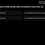 7. The two strands of DNA double helix are linked to each other by a. Hydrogen bonds between sugar b. Phosphodiester bond between sugar c. Hydrogen bonds between bases d. Phosphodiester bond between bases