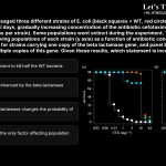 11. Researchers passaged three different strains of E. coli (black squares = WT, red circles and blue triangles = mutants) for several days, gradually increasing concentration of the antibiotic cefotaxime (CTX) (n=96 replicate populations per strain). Some populations went extinct during the experiment. The plots below show the number of surviving populations of each strain (y axis) as a function of antibiotic concentration (x axis). Panel A shows data for strains carrying one copy of the beta lactamase gene, and panel B shows data for strains carrying multiple copies of this gene. Given these results, which statement is incorrect? a. 0.25 mg/L CTX is sufficient to kill half the WT bacteria b. Adaptation to CTX is enhanced by the beta-lactamase gene c. Copy number of beta-lactamase changes the probability of extinction d. Beta lactamase is not the only factor affecting population survival