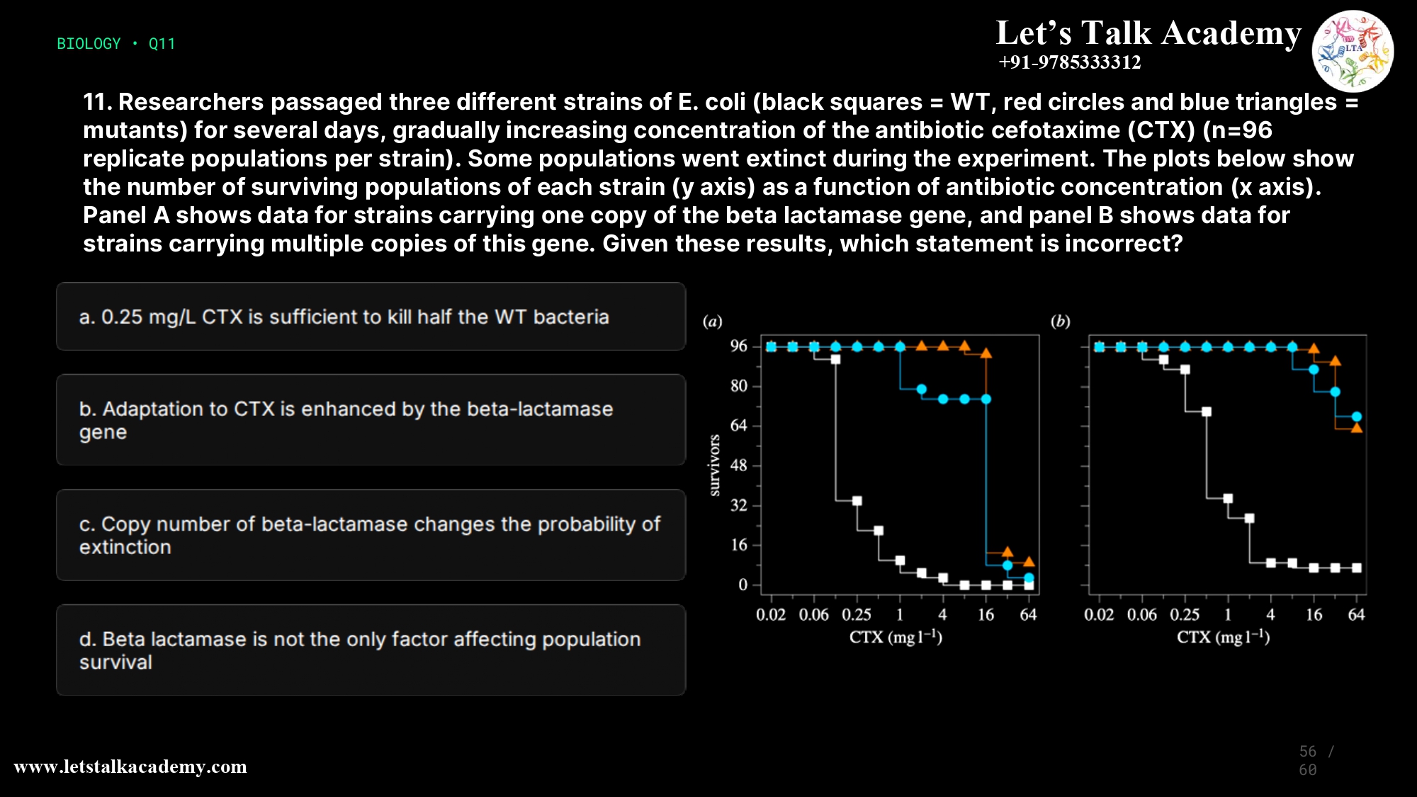11. Researchers passaged three different strains of E. coli (black squares = WT, red circles and blue triangles = mutants) for several days, gradually increasing concentration of the antibiotic cefotaxime (CTX) (n=96 replicate populations per strain). Some populations went extinct during the experiment. The plots below show the number of surviving populations of each strain (y axis) as a function of antibiotic concentration (x axis). Panel A shows data for strains carrying one copy of the beta lactamase gene, and panel B shows data for strains carrying multiple copies of this gene. Given these results, which statement is incorrect? a. 0.25 mg/L CTX is sufficient to kill half the WT bacteria b. Adaptation to CTX is enhanced by the beta-lactamase gene c. Copy number of beta-lactamase changes the probability of extinction d. Beta lactamase is not the only factor affecting population survival