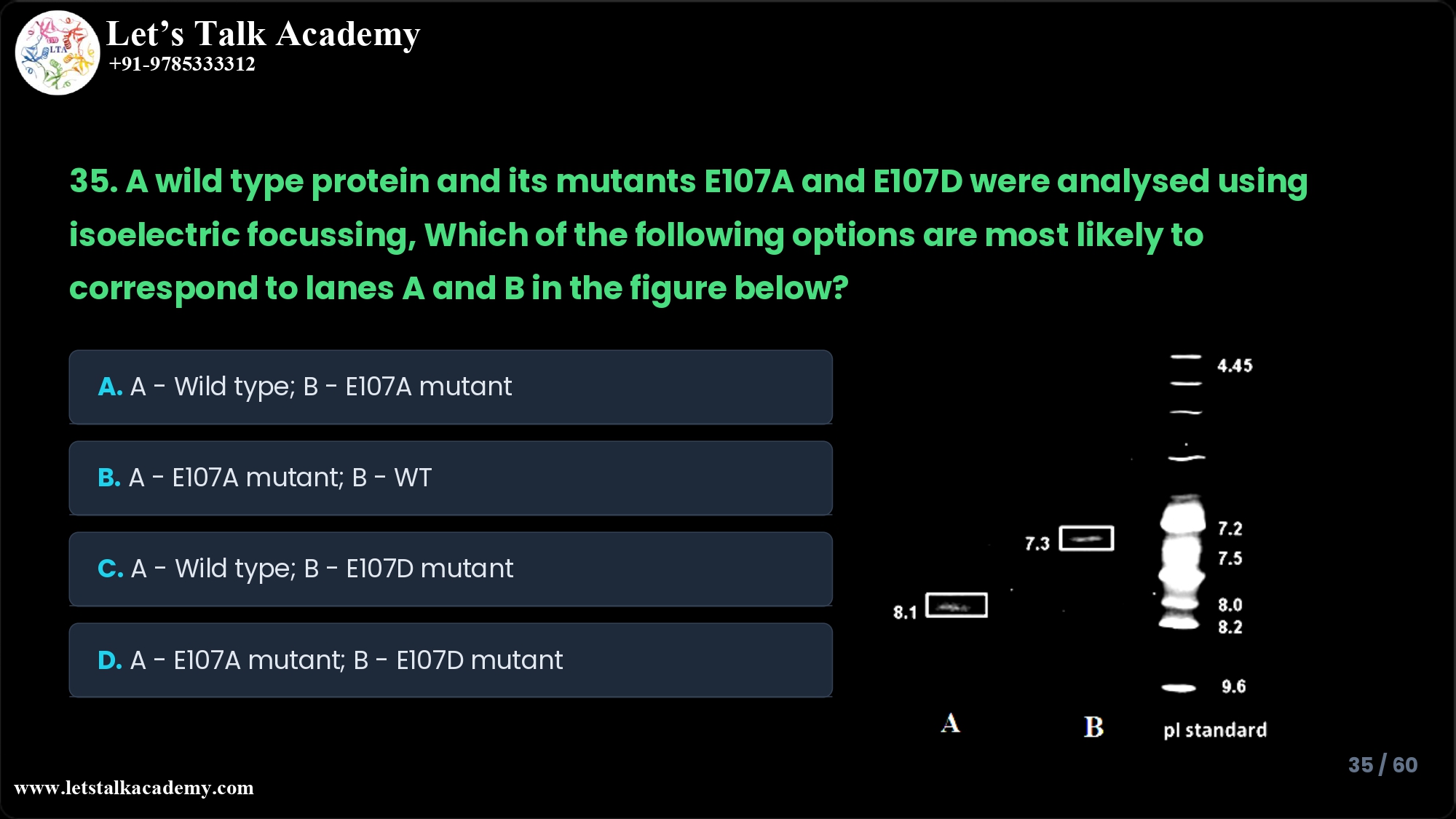 35. A wild type protein and its mutants E107A and E107D were analysed using isoelectric focussing, Which of the following options are most likely to correspond to lanes A and B in the figure below? A. A – Wild type; B – E107A mutant B. A - E107A mutant; B – WT C. A - wild type; B – E107D mutant D. A - E107A mutant; B – E107D mutant