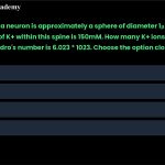 41. The spine of a neuron is approximately a sphere of diameter 1μm. The concentration of K+ within this spine is 150mM. How many K+ ions are in this sphere? Assume Avagadro's number is 6.023 * 1023. Choose the option closest to the correct answer. a. 5 * 1010 b. 5 * 107 c. 5 * 105 d. 5 * 1012