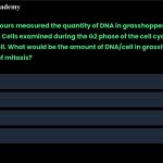 47. A friend of yours measured the quantity of DNA in grasshopper cells growing in the cell culture. Cells examined during the G2 phase of the cell cycle contained 200 units of DNA/cell. What would be the amount of DNA/cell in grasshopper cells seen in the anaphase of mitosis? A. 50 units B. 100 units C. 400 units D. 200 units