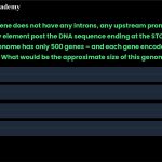 56. Assume a gene does not have any introns, any upstream promoter or regulatory element, or any element post the DNA sequence ending at the STOP position. If a hypothetical genome has only 500 genes – and each gene encodes an mRNA for a 50 kDa protein. What would be the approximate size of this genome? A) 275 kb B) 250 kb C) 500 kb D) 750 kb