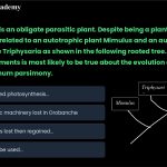 57. Orobanche is an obligate parasitic plant. Despite being a plant, it is not an autotroph. It is related to an autotrophic plant Mimulus and an autotrophic partial parasite Triphysaria as shown in the following rooted tree. Which of the following statements is most likely to be true about the evolution of Orobanche? Assume maximum parsimony. (a) The ancestor lacked photosynthetic apparatus, which was gained independently and exclusively in the Mimulus and Triphysaria lineages (b) Photosynthetic machinery was present in all the ancestral nodes, but lost specifically in the terminal branch leading to Orobanche (c) Photosynthesis was lost following the branching of Mimulus, but regained in the terminal branch to Triphysaria. (d) Rooted trees cannot be used to make predictions about ancestral states under the maximum parsimony assumption.