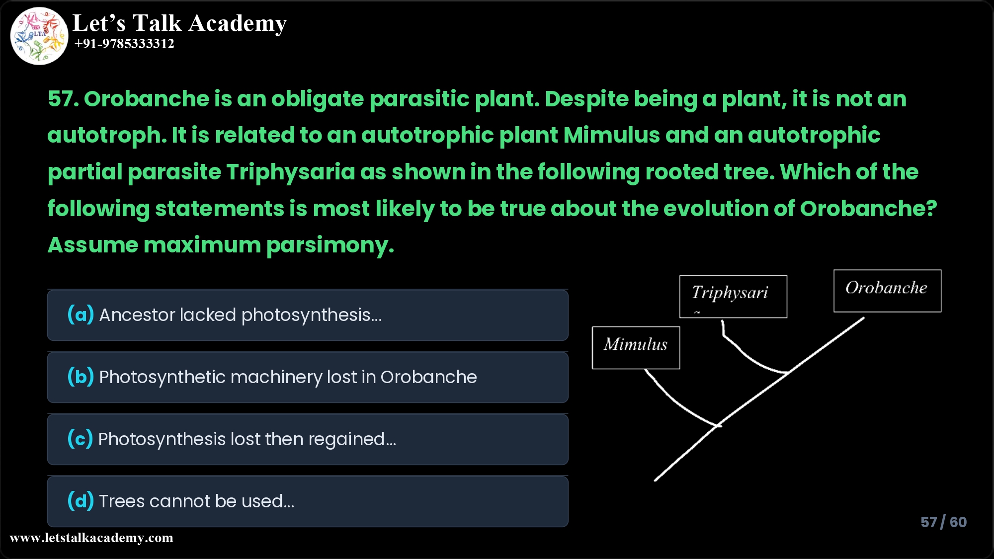 57. Orobanche is an obligate parasitic plant. Despite being a plant, it is not an autotroph. It is related to an autotrophic plant Mimulus and an autotrophic partial parasite Triphysaria as shown in the following rooted tree. Which of the following statements is most likely to be true about the evolution of Orobanche? Assume maximum parsimony. (a) The ancestor lacked photosynthetic apparatus, which was gained independently and exclusively in the Mimulus and Triphysaria lineages (b) Photosynthetic machinery was present in all the ancestral nodes, but lost specifically in the terminal branch leading to Orobanche (c) Photosynthesis was lost following the branching of Mimulus, but regained in the terminal branch to Triphysaria. (d) Rooted trees cannot be used to make predictions about ancestral states under the maximum parsimony assumption.