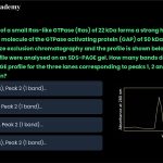 58. One molecule of a small Ras-like GTPase (Ras) of 22 kDa forms a strong high affinity complex with one molecule of the GTPase activating protein (GAP) of 50 kDa. The complex was analysed using size exclusion chromatography and the profile is shown below. The peaks 1, 2, 3 labeled in the profile were analysed on an SDS-PAGE gel. How many bands do you expect to see in the SDS-PAGE profile for the three lanes corresponding to peaks 1, 2 and 3 under reducing condition? A. Peak 1 – 3 bands at 72, 50 and 22 kDa; Peak 2 – 1 band at 50 kDa; Peak 3 – 1 band at 22 kDa B. Peak 1 – 1 band at 22 kDa; Peak 2 – 1 band at 50 kDa; Peak 3 – 3 bands at 72, 50 and 22 kDa C. Peak 1 – 1 band at 22 kDa; Peak 2 – 1 band at 50 kDa; Peak 3 – 2 bands at 50 and 22 kDa D. Peak 1 – 2 bands at 50 and 22 kDa; Peak 2 – 1 band at 50 kDa; Peak 3 – 1 band at 22 kDa