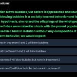 60. A predatory fish blows bubbles just before it approaches and stuns its prey. A student postulated that blowing bubbles is a socially learned behavior and is a not heritable trait. To test this hypothesis, she raised the offsprings of the wildtype fishes either in “treatment 1”: the fishes were raised in a tank with the parent population or “treatment 2”: they were raised in a tank in isolation without any conspecifics. If blowing bubbles is not a socially learnt behavior, we would expect: a) None of the fishes in treatment 1 and 2 will blow bubbles b) Individuals in both treatment 1 and 2 will blow bubbles c) 75% fishes in treatment 1 will blow bubbles but none in treatment 2 d) 75% fishes in treatment 2 will blow bubbles but none in treatment 1