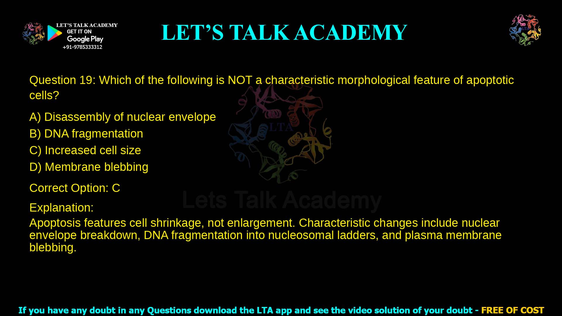 Q.19 Which of the following is NOT a characteristic morphological feature of apoptotic cells? (A) Disassembly of nuclear envelope (B) DNA fragmentation (C) Increased cell size (D) Membrane blebbing