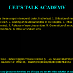4. Place these steps in temporal order, first to last. 1. Diffusion of neurotransmitter across the synaptic cleft. 2. Binding of neurotransmitter to its receptor. 3. Influx of calcium into the presynaptic terminal. 4. Release of neurotransmitter. 5. Generation of an action potential at the postsynaptic membrane. 6. Influx of sodium ions. a. 3, 4, 1, 6, 5, 2 b. 4, 3, 1, 6, 2 ,5 c. 1, 2, 3, 4, 5, 6 d. 3, 4, 1, 2, 6, 5