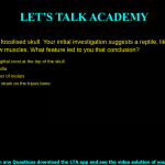 You unearth a fossilised skull. Your initial investigation suggests a reptile, likely a dinosaur, that had strong jaw muscles. What feature led to you that conclusion? The presence of a sagittal crest at the top of the skull The length of the maxilla The shape and number of molars Evidence of torsional strain on the tripus bone