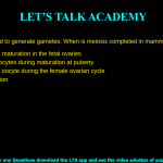 11. Meiosis is used to generate gametes. When is meiosis completed in mammalian females? a. During oogonia maturation in the fetal ovaries b. In all primary oocytes during maturation at puberty c. In an individual oocyte during the female ovarian cycle d. During fertilization