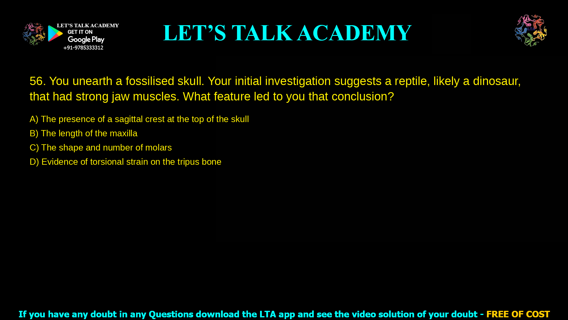 You unearth a fossilised skull. Your initial investigation suggests a reptile, likely a dinosaur, that had strong jaw muscles. What feature led to you that conclusion? The presence of a sagittal crest at the top of the skull The length of the maxilla The shape and number of molars Evidence of torsional strain on the tripus bone